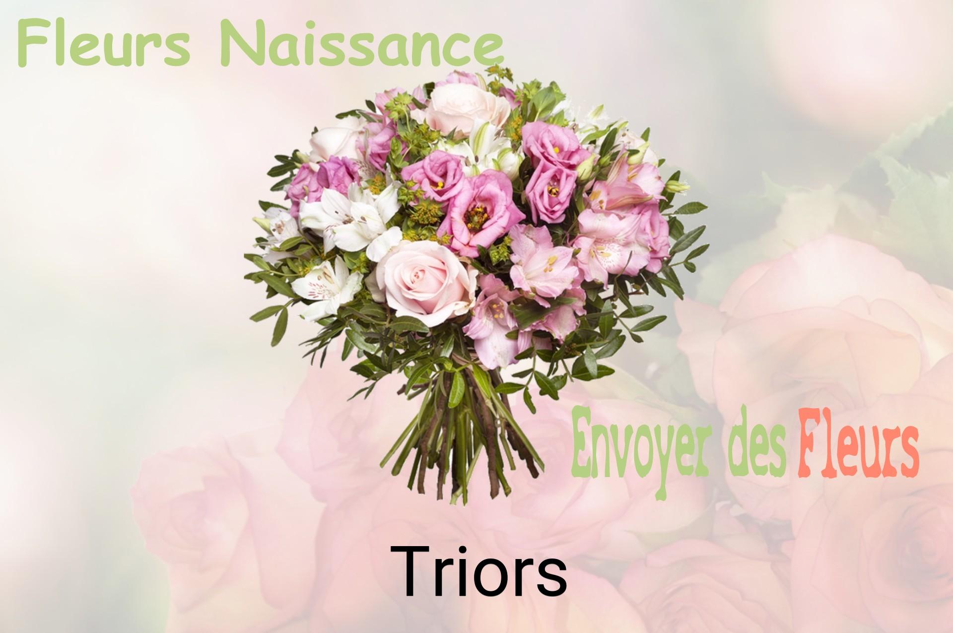 Bouquet de fleurs de naissance livré à Triors