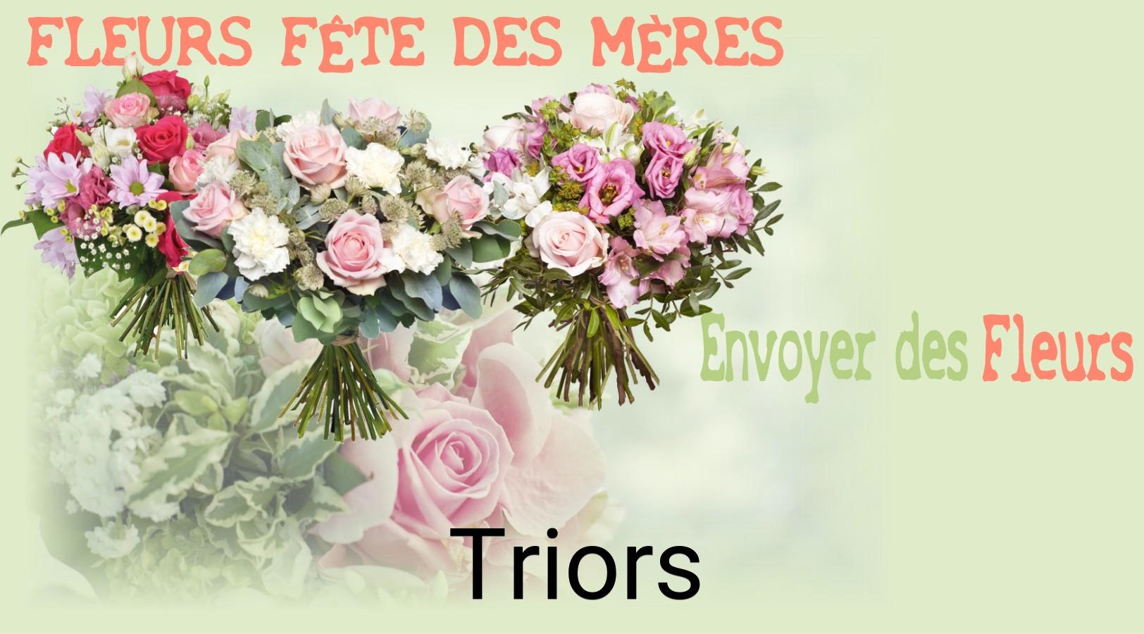 Bouquet de Fête des Mères livré à Triors